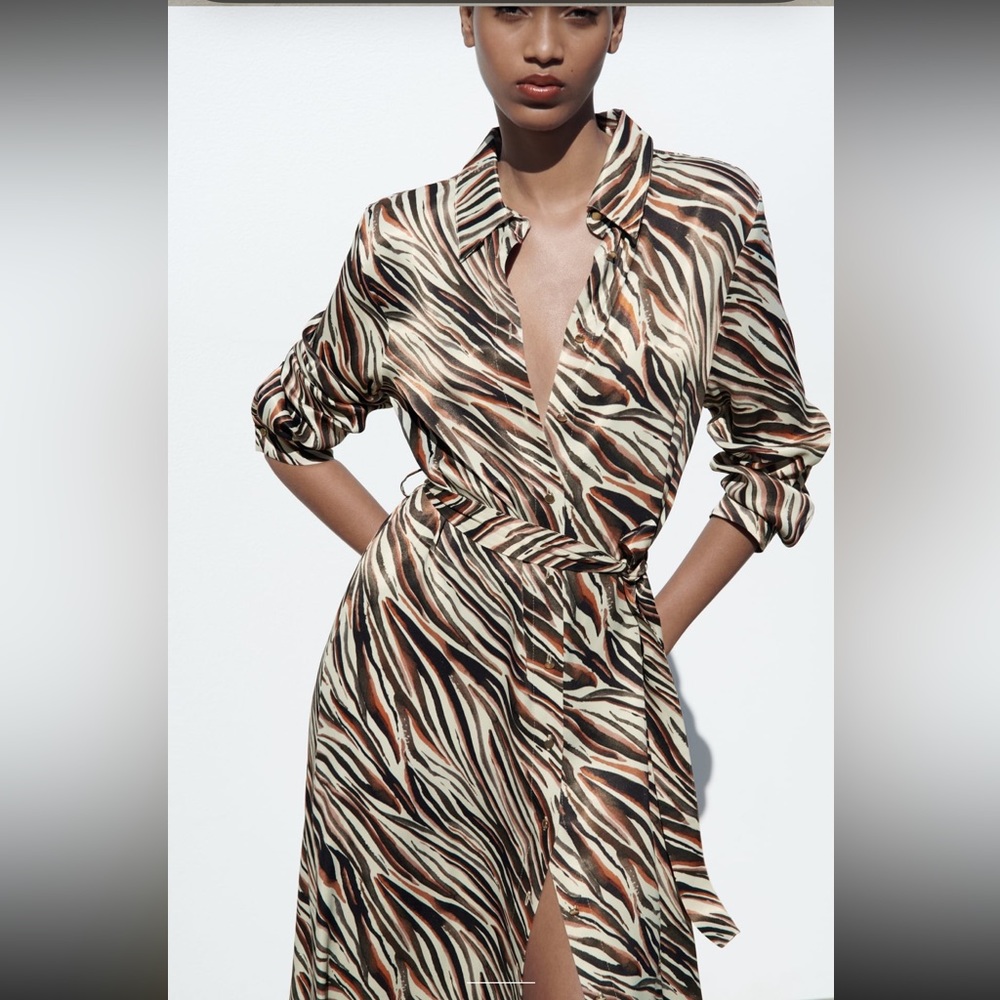 Zara Animal Print Long Sleeve Shirt Dress in Black, Cream & Brown